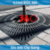 ghi gốc cây gang