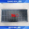 song chắn rác bằng gang