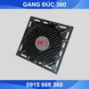 nắp hố ga gang 700x700