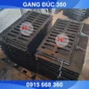 song chắn rác gang 800x500