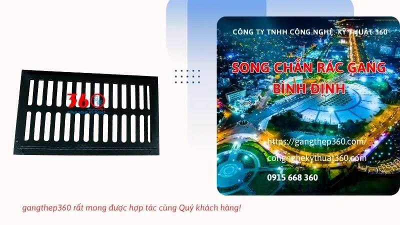 song chắn rác gang Bình Định