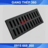 Song chắn rác gang 800x400